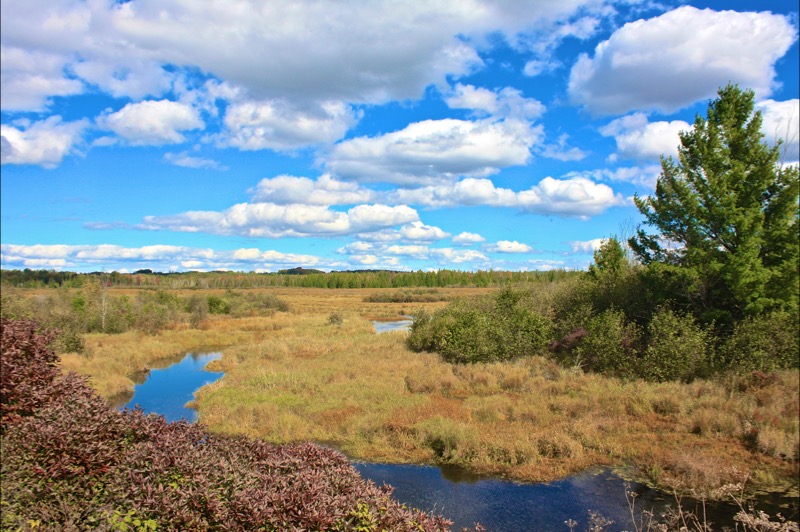 Fred Meijer White Pine Trail State Park - Reed City to Cadillac